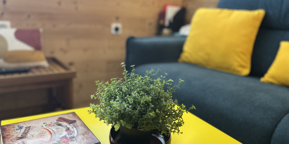 appartement à ST LARY SOULAN (65170)